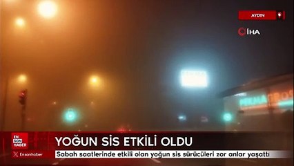 Aydın-Muğla yolunda yoğun sis