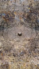 SnapTik-dot-Kim-f58db8c31e6562684030a2dc39d8c210