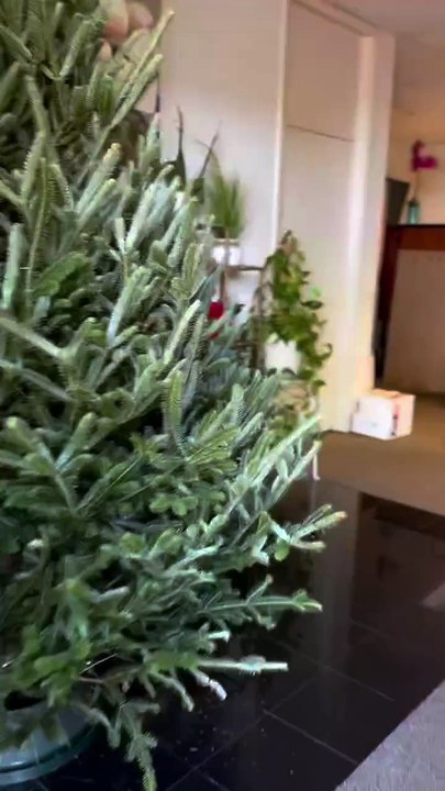 Trusted Interior Painting Contractors in Florida | John 'The Greek' Painting