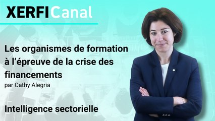 Les organismes de formation à l’épreuve de la crise des financements [Cathy Alegria]