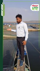 Cage Aquaculture : धरणाच्या मध्यभागी कशी केली जाते पिंजरा मत्स्यशेती? किती मिळतो नफा?