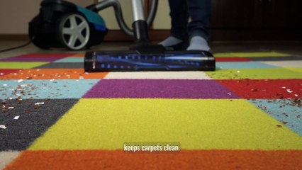 Carpets and Cleanliness:  Breaking the Chain of Germs at Home