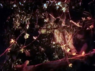 Tarzan's Revenge (1938) in color