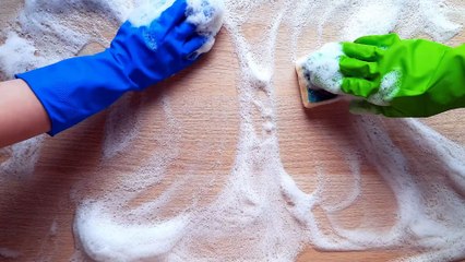 What Happens During a Professional Cleaning Session