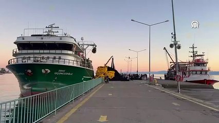 Sinop'ta balıkçılar bereketli sezonu geride bırakıyor