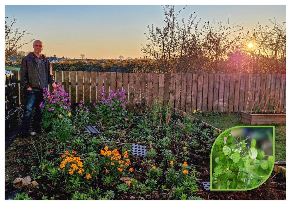 10 retro 1980s flowers that are due to make a comeback - Gardening with Brendan