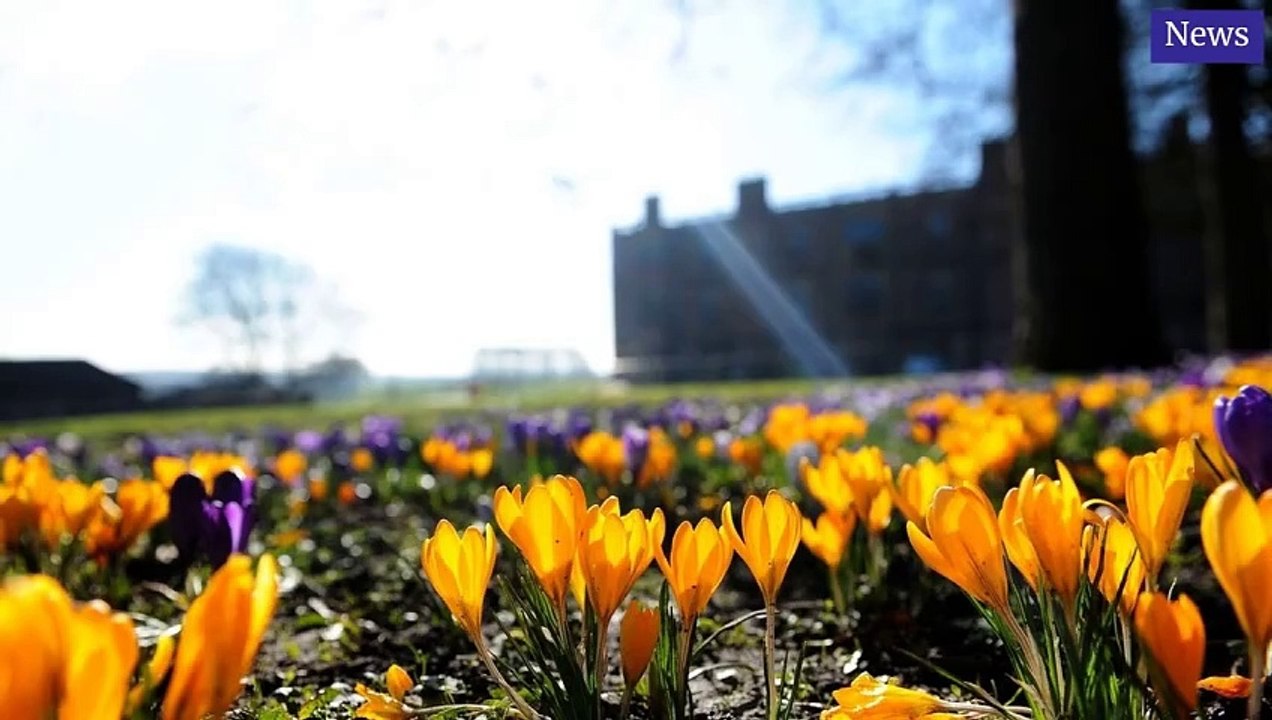 Halifax Courier Morning Update 4 April, 2025