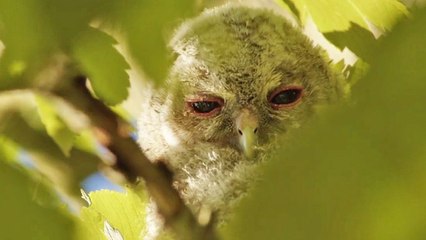 Un autre regard Bande-annonce VF