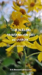 Word of God Philippians 4:13 Scripture Video