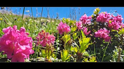 ALTITUDE PECHE - Vœux 2025