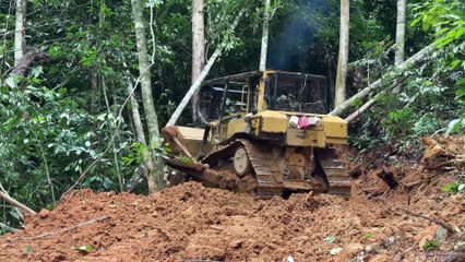 Effective Strategies to Open New Paths with the D6R XL Bulldozer