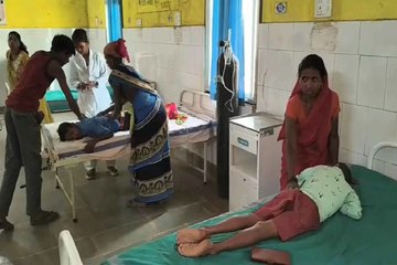 खाने में मिली छिपकली