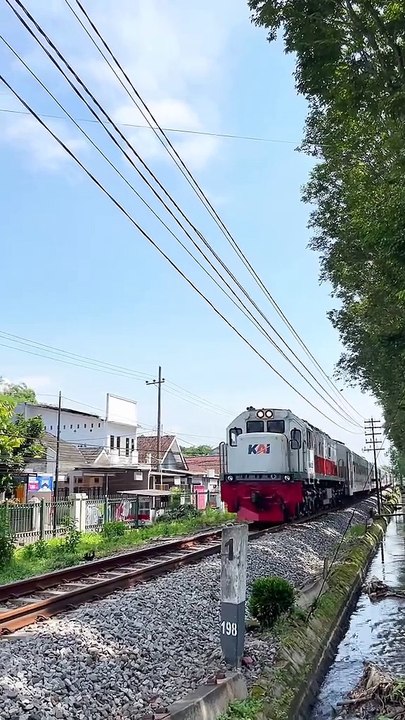 Mepet pinggir buangan air