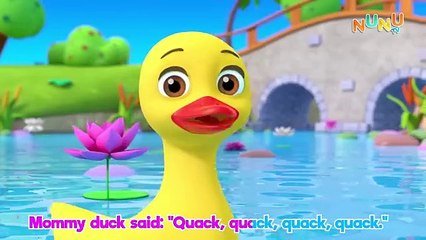 File Little ducks|Kids Rhymes|Kids Poems|