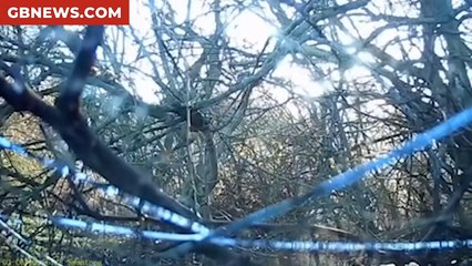 Watch as drunk driver PLOUGHS into a tree and plots to ditch the car