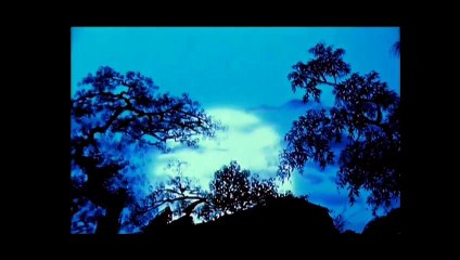 Princes et princesses (2000) - Bande annonce