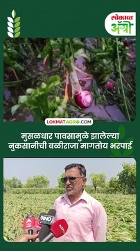 मुसळधार पावसामुळे झालेल्या नुकसानीची बळीराजा मागतोय भरपाई_1