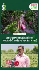 मुसळधार पावसामुळे झालेल्या नुकसानीची बळीराजा मागतोय भरपाई_1