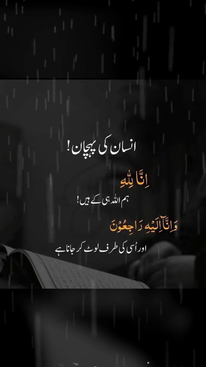 Near life reality