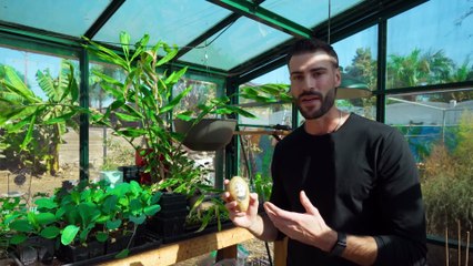 8 Potato Growing Hacks That Actually Work