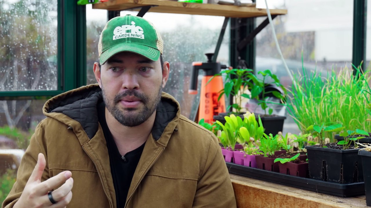 We Ignored Plant Spacing Rules, Here's What Happened