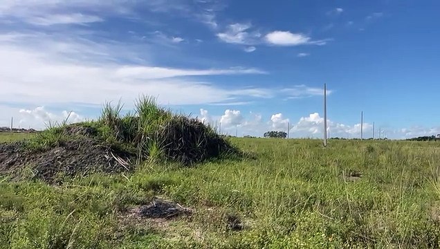 Imagens mostram rastro deixado por avião após pouso forçado no Pilar