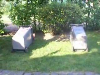 SAUT DE CHAT D' ANTOINE