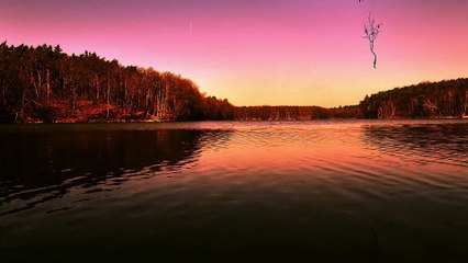 Grey Noise- Instant Relaxation & Deep Sleep