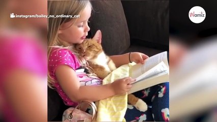 Mädchen singt ihrem Kätzchen ein Abschiedslied, bevor sie über die Regenbogenbrücke geht