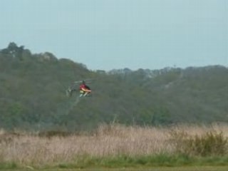 BENJAMIN N°1- 1ers_essais du t-rex