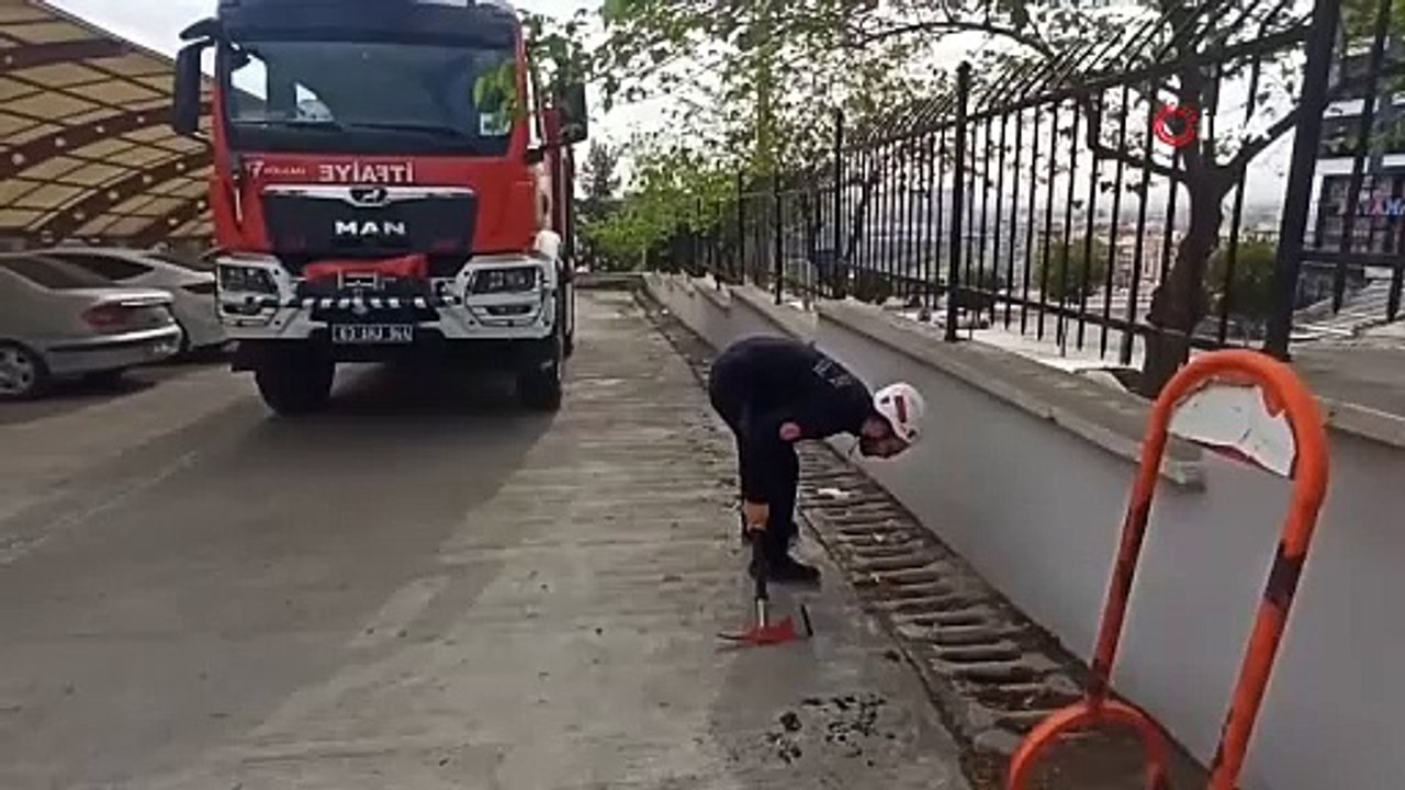 Şanlıurfa’da mazgala düşen yavru kedi kurtarıldı