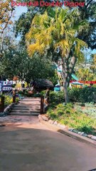 Disney's Blizzard Beach Water Park Bay Lake, FL 2024