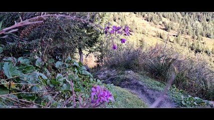 ALTITUDE PECHE - Vœux 2024