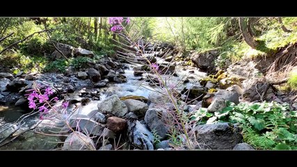 ALTITUDE PECHE - Vœux 2023