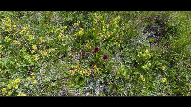 ALTITUDE PECHE lac de montagne - Lacs de la Forclaz 2023