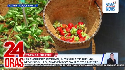 Strawberry picking, horseback riding, at windmills, mae-enjoy sa Ilocos Norte | 24 Oras