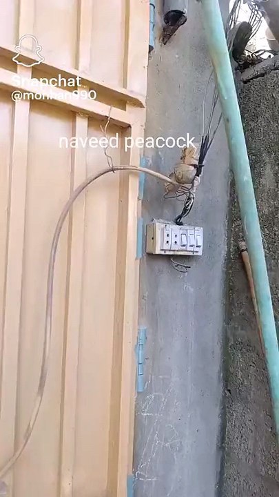 🤣