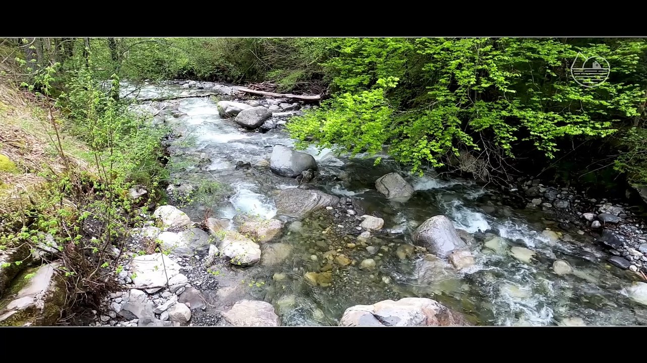 ALTITUDE PECHE rivière de montagne - Le Chéran #20220507