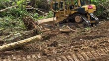Efficiency of D6R XL Bulldozer in Heavy Terrain of Oil Palm Plantations