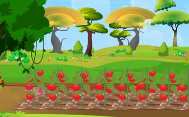 Aaha Tamatar Bade Mazedar