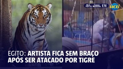 Tigre ataca artista circense durante apresentação