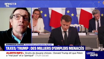 Droits de douane: "On s'inquiète des conséquences que ça peut avoir", affirme le président de la Coopération agricole