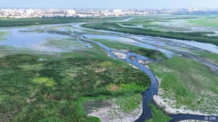 The Chennai trail helping visitors understand its ecosystem