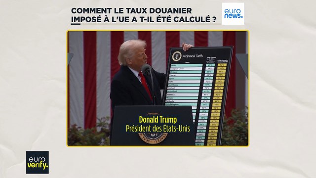 Vérification des faits : les droits de douane imposés à l'UE par Donald Trump sont-ils réellement réciproques ?