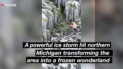 Ice Storm Transforms Northern Michigan Into Winter Wonderland Causing Massive Power Outages
