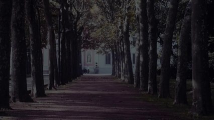 Éloge de la folie Bande-annonce VF