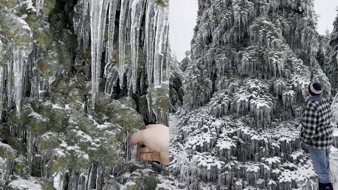 Severe ice storm turns northern Michigan into a frozen wonderland