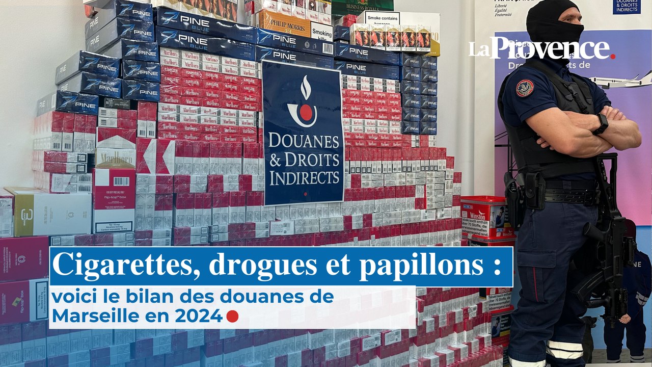 Cigarettes, drogues et papillons : voici le bilan des douanes de  Marseille en 2024