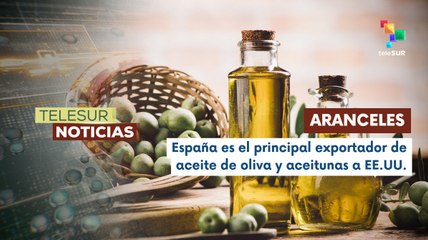 Sector del olivar español se ve afectado por aranceles impuestos a la UE