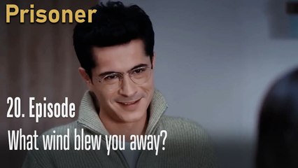 What wind blew you away-Episode 20